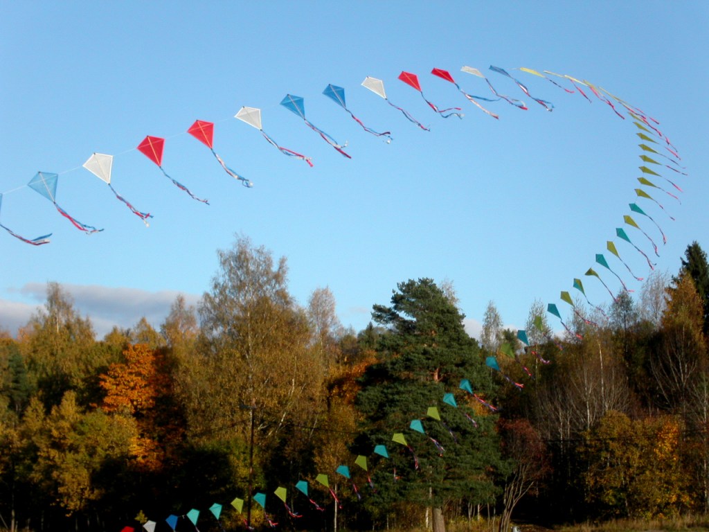 Kites flying in an arc across a blue sky above autumn trees